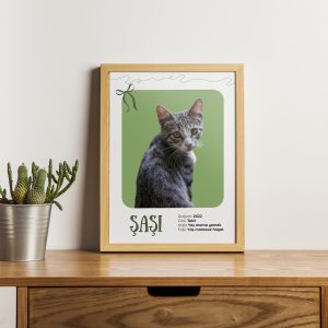 Kedinize Özel Kişiselleştirilebilir Tasarım